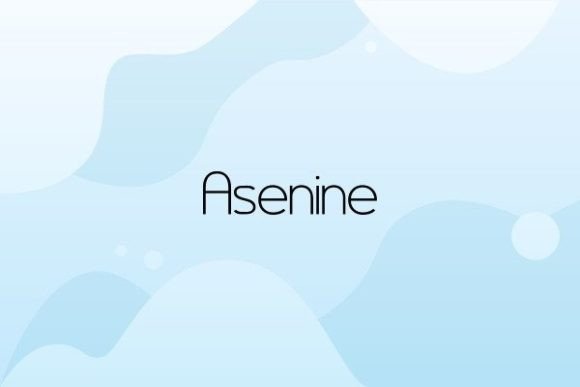 Asenine Font: Elegant Sans Serif for Small Business Branding