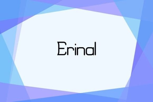 Erinal Typeface: Elegant Sans Serif for Editorial Design