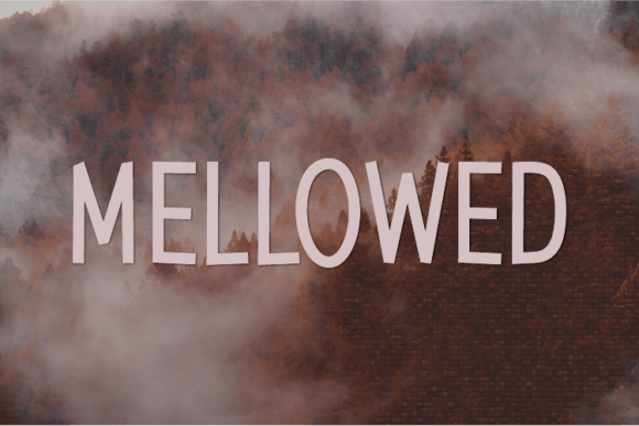 Mellowed Typeface for Modern Brand Identity