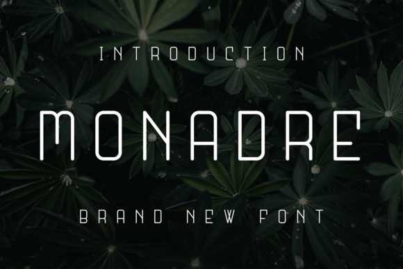 Monadre: A Unique Sans Serif Font for Web Design