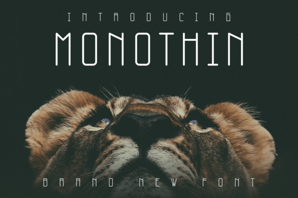 Monothin Typeface for Editorial Design