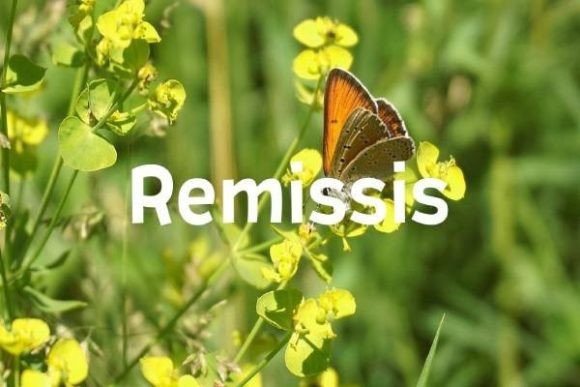 Remissis: A Natural Sans-Serif Typeface for Makers