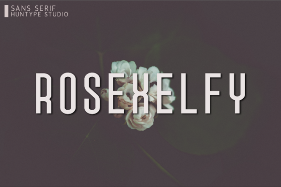 Rosexelfy: A Clean Sans Serif Font for Branding